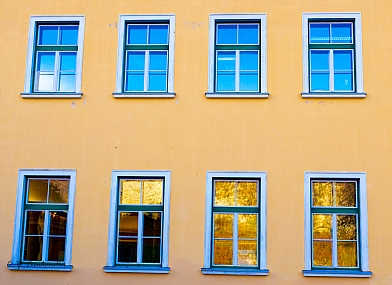 צילום: חיים פיינהנדלר