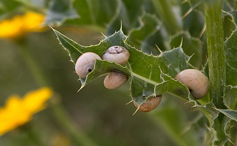 צילום: מנחם לזר