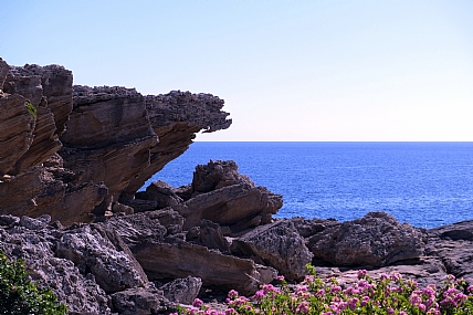 צילום: מנחם לזר