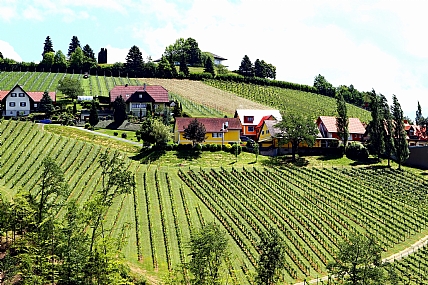 צילום: מנחם לזר