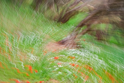 סחרור בדרום