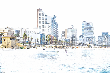 צילום: ארז הלוי