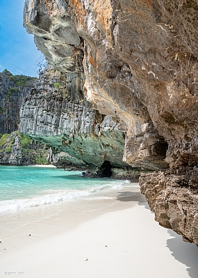 צילום: ציון  לוי