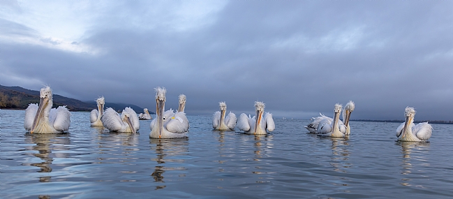אגם קירקיני