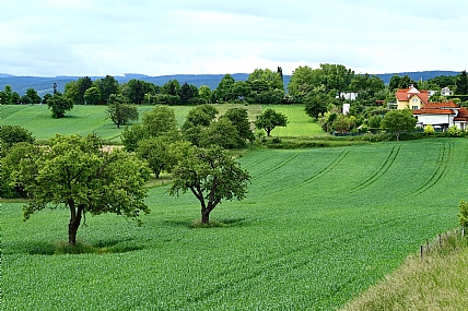 צילום: מנחם לזר