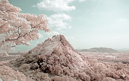 צילום: אריק כפיר