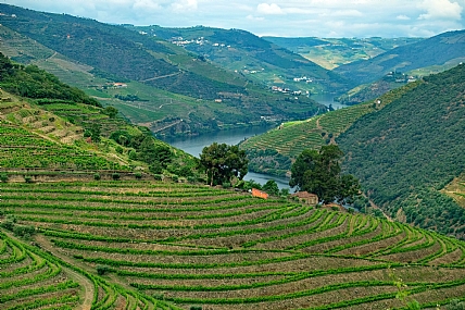 צילום: מנחם לזר