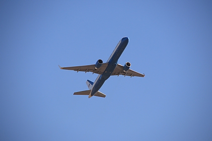 צילום: זאב אברהמס