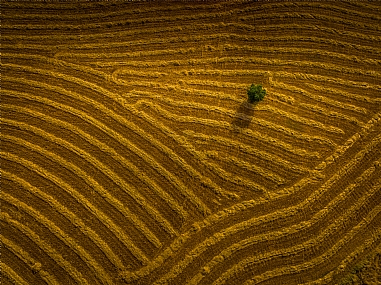 צילום: שרון טריבלסקי