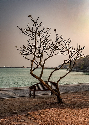 תן לים לשחרר אותך