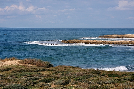 צילום: מנחם לזר
