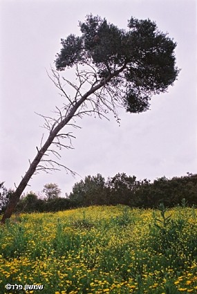 תחזיקו אותי