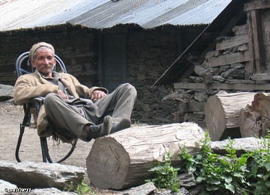 צילום: דניאלה רוזן