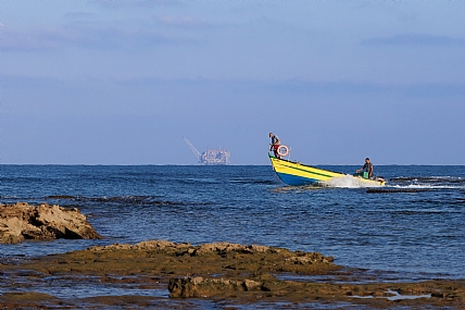 צילום: ירון אלקובי