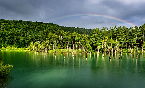 Shirogane Blue Pond