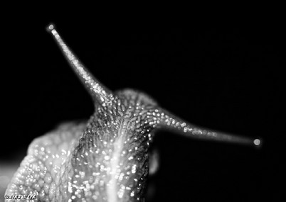 sending to outer space