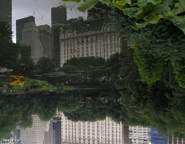 צילום: יובל בן ציון