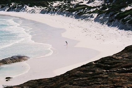 במרכז היקום
