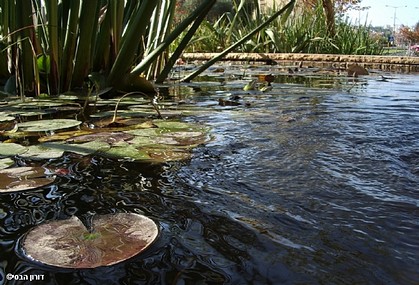 איים בזרם III