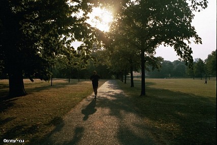 ריצה בבוקר