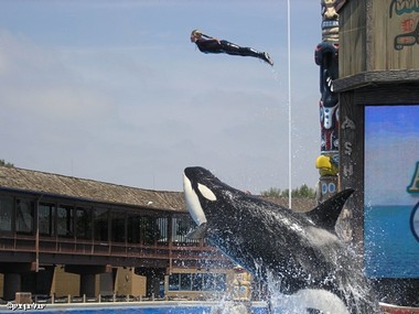 בדרך לשמיים