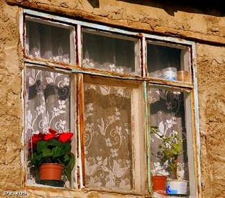 נקודת חן לבית דל