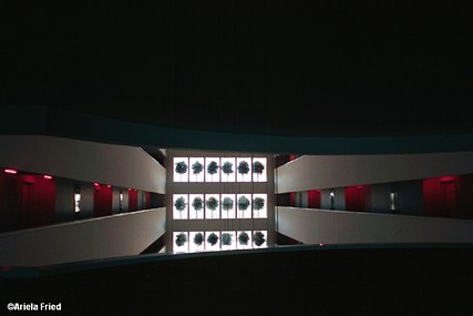 צילום: Ariela Fried