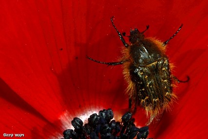 שמישהו יוציא אותי מפה