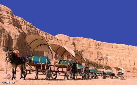 שיירה במדבר