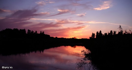 נחל אלכסנדר