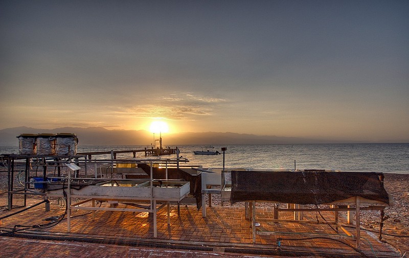 בתחילת היום