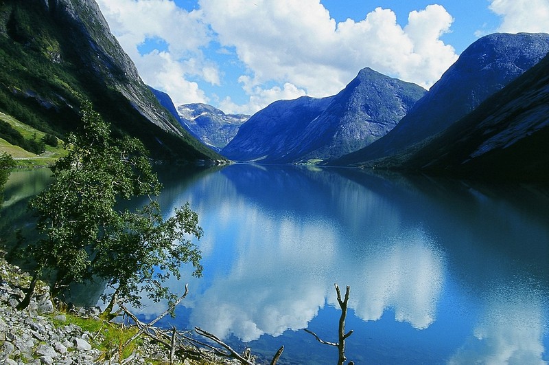 צילום: תומר כרמלי