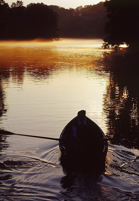 צילום: תומר כרמלי