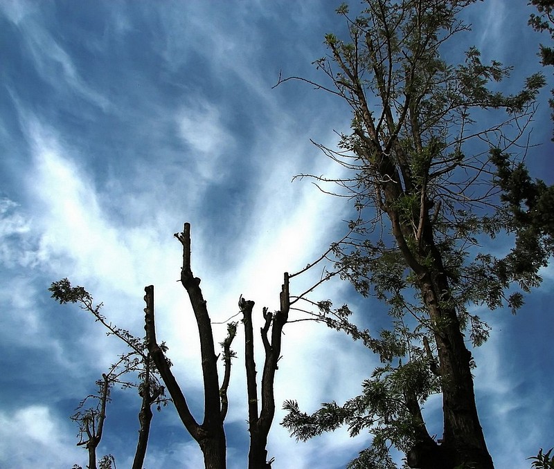 ימים משונים...