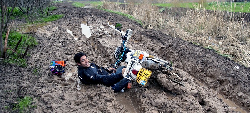 צילום: צחי עמיעד