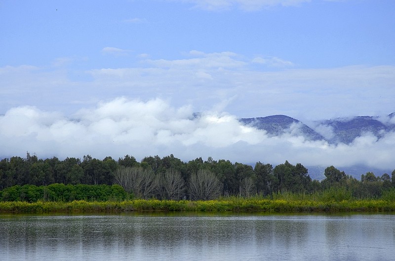 אירופה בארץ ישראל!!