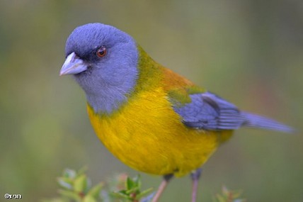 Are you looking at me?