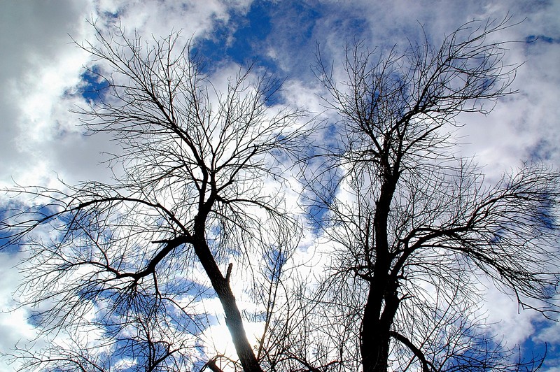 עוצמת השלכת למול השמים
