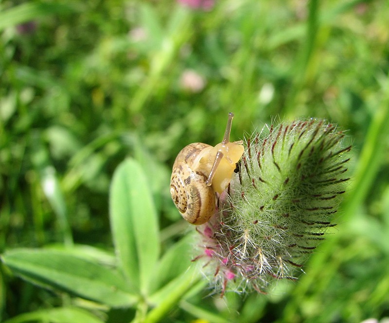 My First Macro