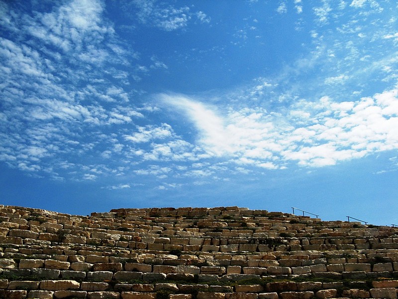 צילום: מרק כהן