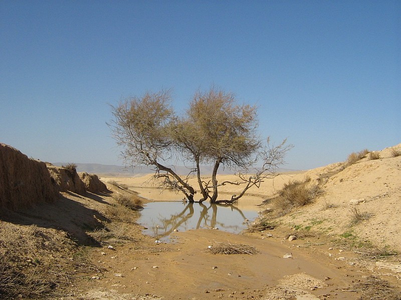 אחרי השטפון