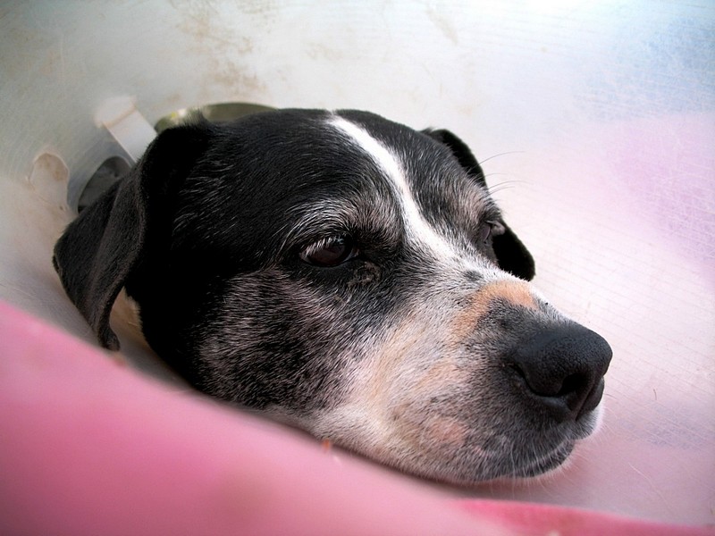 חמודה ועדינה...