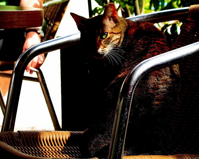 ??What r u looking at