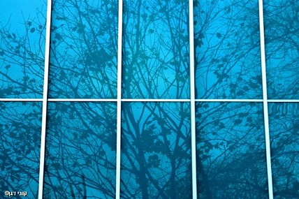 השתקפות כחלחלה