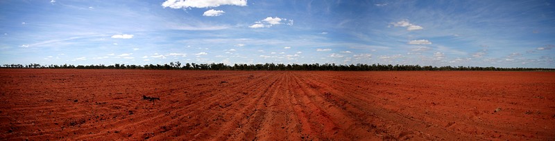 צילום: אמיר גולדמן