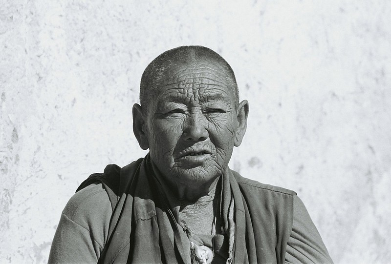 צילום: אלון דותן