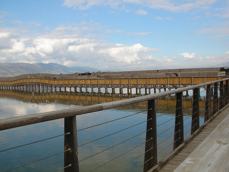 צילום: טליה מזה משנה