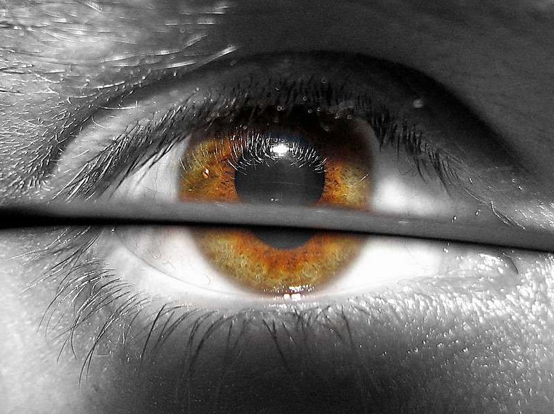 עיוור צבעים