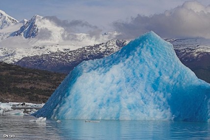 צילום: רוני  