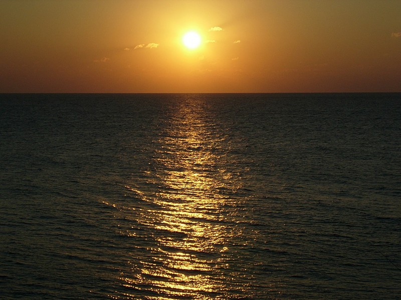 צילום: אבי קליגמן